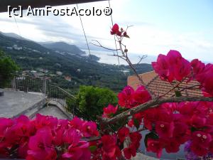 [P05]  -- <small>// FĂRĂ DESCRIERE</small> » foto by sniga
 - 
<span class="allrVoted glyphicon glyphicon-heart hidden" id="av755998"></span>
<a class="m-l-10 hidden" id="sv755998" onclick="voting_Foto_DelVot(,755998,13156)" role="button">șterge vot <span class="glyphicon glyphicon-remove"></span></a>
<a id="v9755998" class=" c-red"  onclick="voting_Foto_SetVot(755998)" role="button"><span class="glyphicon glyphicon-heart-empty"></span> <b>LIKE</b> = Votează poza</a> <img class="hidden"  id="f755998W9" src="/imagini/loader.gif" border="0" /><span class="AjErrMes hidden" id="e755998ErM"></span>