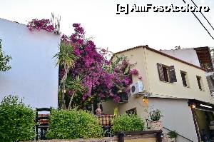 [P31]  -- <small>// FĂRĂ DESCRIERE</small> » foto by clau.nov
 - 
<span class="allrVoted glyphicon glyphicon-heart hidden" id="av498267"></span>
<a class="m-l-10 hidden" id="sv498267" onclick="voting_Foto_DelVot(,498267,13156)" role="button">șterge vot <span class="glyphicon glyphicon-remove"></span></a>
<a id="v9498267" class=" c-red"  onclick="voting_Foto_SetVot(498267)" role="button"><span class="glyphicon glyphicon-heart-empty"></span> <b>LIKE</b> = Votează poza</a> <img class="hidden"  id="f498267W9" src="/imagini/loader.gif" border="0" /><span class="AjErrMes hidden" id="e498267ErM"></span>