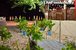 [P38]  -- <small>// FĂRĂ DESCRIERE</small> » foto by clau.nov
 - 
<span class="allrVoted glyphicon glyphicon-heart hidden" id="av498274"></span>
<a class="m-l-10 hidden" id="sv498274" onclick="voting_Foto_DelVot(,498274,13156)" role="button">șterge vot <span class="glyphicon glyphicon-remove"></span></a>
<a id="v9498274" class=" c-red"  onclick="voting_Foto_SetVot(498274)" role="button"><span class="glyphicon glyphicon-heart-empty"></span> <b>LIKE</b> = Votează poza</a> <img class="hidden"  id="f498274W9" src="/imagini/loader.gif" border="0" /><span class="AjErrMes hidden" id="e498274ErM"></span>