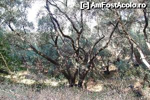 [P41]  -- <small>// FĂRĂ DESCRIERE</small> » foto by clau.nov
 - 
<span class="allrVoted glyphicon glyphicon-heart hidden" id="av498277"></span>
<a class="m-l-10 hidden" id="sv498277" onclick="voting_Foto_DelVot(,498277,13156)" role="button">șterge vot <span class="glyphicon glyphicon-remove"></span></a>
<a id="v9498277" class=" c-red"  onclick="voting_Foto_SetVot(498277)" role="button"><span class="glyphicon glyphicon-heart-empty"></span> <b>LIKE</b> = Votează poza</a> <img class="hidden"  id="f498277W9" src="/imagini/loader.gif" border="0" /><span class="AjErrMes hidden" id="e498277ErM"></span>