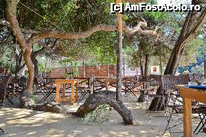 [P53] taverna pe plaja Sarakiniko » foto by clau.nov
 - 
<span class="allrVoted glyphicon glyphicon-heart hidden" id="av498294"></span>
<a class="m-l-10 hidden" id="sv498294" onclick="voting_Foto_DelVot(,498294,13156)" role="button">șterge vot <span class="glyphicon glyphicon-remove"></span></a>
<a id="v9498294" class=" c-red"  onclick="voting_Foto_SetVot(498294)" role="button"><span class="glyphicon glyphicon-heart-empty"></span> <b>LIKE</b> = Votează poza</a> <img class="hidden"  id="f498294W9" src="/imagini/loader.gif" border="0" /><span class="AjErrMes hidden" id="e498294ErM"></span>