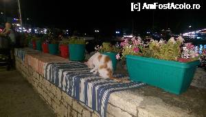 [P09] Pe faleza poti sa astepti linistit, pana se face un loc la o masa :)  » foto by blonduta_blue
 - 
<span class="allrVoted glyphicon glyphicon-heart hidden" id="av693541"></span>
<a class="m-l-10 hidden" id="sv693541" onclick="voting_Foto_DelVot(,693541,13156)" role="button">șterge vot <span class="glyphicon glyphicon-remove"></span></a>
<a id="v9693541" class=" c-red"  onclick="voting_Foto_SetVot(693541)" role="button"><span class="glyphicon glyphicon-heart-empty"></span> <b>LIKE</b> = Votează poza</a> <img class="hidden"  id="f693541W9" src="/imagini/loader.gif" border="0" /><span class="AjErrMes hidden" id="e693541ErM"></span>