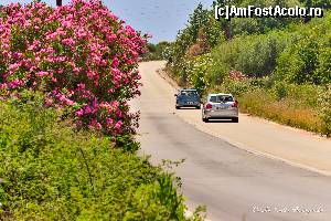 [P12] Leandrul poate fi considerat reprezentativ pentru Grecia?  » foto by Vlahos2003
 - 
<span class="allrVoted glyphicon glyphicon-heart hidden" id="av663406"></span>
<a class="m-l-10 hidden" id="sv663406" onclick="voting_Foto_DelVot(,663406,13156)" role="button">șterge vot <span class="glyphicon glyphicon-remove"></span></a>
<a id="v9663406" class=" c-red"  onclick="voting_Foto_SetVot(663406)" role="button"><span class="glyphicon glyphicon-heart-empty"></span> <b>LIKE</b> = Votează poza</a> <img class="hidden"  id="f663406W9" src="/imagini/loader.gif" border="0" /><span class="AjErrMes hidden" id="e663406ErM"></span>