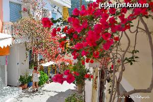 [P34] Strazile din Parga.  » foto by Vlahos2003
 - 
<span class="allrVoted glyphicon glyphicon-heart hidden" id="av663435"></span>
<a class="m-l-10 hidden" id="sv663435" onclick="voting_Foto_DelVot(,663435,13156)" role="button">șterge vot <span class="glyphicon glyphicon-remove"></span></a>
<a id="v9663435" class=" c-red"  onclick="voting_Foto_SetVot(663435)" role="button"><span class="glyphicon glyphicon-heart-empty"></span> <b>LIKE</b> = Votează poza</a> <img class="hidden"  id="f663435W9" src="/imagini/loader.gif" border="0" /><span class="AjErrMes hidden" id="e663435ErM"></span>