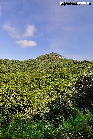 [P61] Cetatea lui Ali Pashelu.  » foto by Vlahos2003
 - 
<span class="allrVoted glyphicon glyphicon-heart hidden" id="av663519"></span>
<a class="m-l-10 hidden" id="sv663519" onclick="voting_Foto_DelVot(,663519,13156)" role="button">șterge vot <span class="glyphicon glyphicon-remove"></span></a>
<a id="v9663519" class=" c-red"  onclick="voting_Foto_SetVot(663519)" role="button"><span class="glyphicon glyphicon-heart-empty"></span> <b>LIKE</b> = Votează poza</a> <img class="hidden"  id="f663519W9" src="/imagini/loader.gif" border="0" /><span class="AjErrMes hidden" id="e663519ErM"></span>