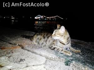 [P11] Oricine are dreptul să se distreze la Parga, chiar și seara. » foto by Ioan Raita
 - 
<span class="allrVoted glyphicon glyphicon-heart hidden" id="av816237"></span>
<a class="m-l-10 hidden" id="sv816237" onclick="voting_Foto_DelVot(,816237,13156)" role="button">șterge vot <span class="glyphicon glyphicon-remove"></span></a>
<a id="v9816237" class=" c-red"  onclick="voting_Foto_SetVot(816237)" role="button"><span class="glyphicon glyphicon-heart-empty"></span> <b>LIKE</b> = Votează poza</a> <img class="hidden"  id="f816237W9" src="/imagini/loader.gif" border="0" /><span class="AjErrMes hidden" id="e816237ErM"></span>