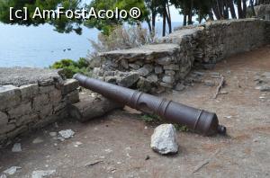 [P15] tun pe zidul cetății.  » foto by Ioan Raita
 - 
<span class="allrVoted glyphicon glyphicon-heart hidden" id="av817211"></span>
<a class="m-l-10 hidden" id="sv817211" onclick="voting_Foto_DelVot(,817211,13156)" role="button">șterge vot <span class="glyphicon glyphicon-remove"></span></a>
<a id="v9817211" class=" c-red"  onclick="voting_Foto_SetVot(817211)" role="button"><span class="glyphicon glyphicon-heart-empty"></span> <b>LIKE</b> = Votează poza</a> <img class="hidden"  id="f817211W9" src="/imagini/loader.gif" border="0" /><span class="AjErrMes hidden" id="e817211ErM"></span>