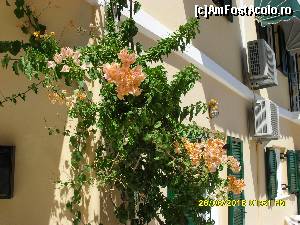 [P31]  -- <small>// FĂRĂ DESCRIERE</small> » foto by adryana
 - 
<span class="allrVoted glyphicon glyphicon-heart hidden" id="av668282"></span>
<a class="m-l-10 hidden" id="sv668282" onclick="voting_Foto_DelVot(,668282,13156)" role="button">șterge vot <span class="glyphicon glyphicon-remove"></span></a>
<a id="v9668282" class=" c-red"  onclick="voting_Foto_SetVot(668282)" role="button"><span class="glyphicon glyphicon-heart-empty"></span> <b>LIKE</b> = Votează poza</a> <img class="hidden"  id="f668282W9" src="/imagini/loader.gif" border="0" /><span class="AjErrMes hidden" id="e668282ErM"></span>