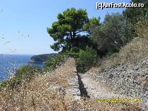 [P42]  -- <small>// FĂRĂ DESCRIERE</small> » foto by adryana
 - 
<span class="allrVoted glyphicon glyphicon-heart hidden" id="av668297"></span>
<a class="m-l-10 hidden" id="sv668297" onclick="voting_Foto_DelVot(,668297,13156)" role="button">șterge vot <span class="glyphicon glyphicon-remove"></span></a>
<a id="v9668297" class=" c-red"  onclick="voting_Foto_SetVot(668297)" role="button"><span class="glyphicon glyphicon-heart-empty"></span> <b>LIKE</b> = Votează poza</a> <img class="hidden"  id="f668297W9" src="/imagini/loader.gif" border="0" /><span class="AjErrMes hidden" id="e668297ErM"></span>