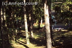 [P04] Parcul din centrul satului.  » foto by Carmen Ion
 - 
<span class="allrVoted glyphicon glyphicon-heart hidden" id="av801866"></span>
<a class="m-l-10 hidden" id="sv801866" onclick="voting_Foto_DelVot(,801866,13213)" role="button">șterge vot <span class="glyphicon glyphicon-remove"></span></a>
<a id="v9801866" class=" c-red"  onclick="voting_Foto_SetVot(801866)" role="button"><span class="glyphicon glyphicon-heart-empty"></span> <b>LIKE</b> = Votează poza</a> <img class="hidden"  id="f801866W9" src="/imagini/loader.gif" border="0" /><span class="AjErrMes hidden" id="e801866ErM"></span>
