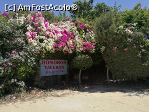 [P07] Intrarea unei taverne din vecinătatea parcării din port » foto by crismis
 - 
<span class="allrVoted glyphicon glyphicon-heart hidden" id="av997806"></span>
<a class="m-l-10 hidden" id="sv997806" onclick="voting_Foto_DelVot(,997806,13279)" role="button">șterge vot <span class="glyphicon glyphicon-remove"></span></a>
<a id="v9997806" class=" c-red"  onclick="voting_Foto_SetVot(997806)" role="button"><span class="glyphicon glyphicon-heart-empty"></span> <b>LIKE</b> = Votează poza</a> <img class="hidden"  id="f997806W9" src="/imagini/loader.gif" border="0" /><span class="AjErrMes hidden" id="e997806ErM"></span>