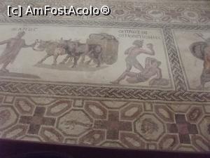 [P46] Casa lui Dionysos: Icarios şi Dionysos » foto by irinad
 - 
<span class="allrVoted glyphicon glyphicon-heart hidden" id="av809736"></span>
<a class="m-l-10 hidden" id="sv809736" onclick="voting_Foto_DelVot(,809736,13279)" role="button">șterge vot <span class="glyphicon glyphicon-remove"></span></a>
<a id="v9809736" class=" c-red"  onclick="voting_Foto_SetVot(809736)" role="button"><span class="glyphicon glyphicon-heart-empty"></span> <b>LIKE</b> = Votează poza</a> <img class="hidden"  id="f809736W9" src="/imagini/loader.gif" border="0" /><span class="AjErrMes hidden" id="e809736ErM"></span>