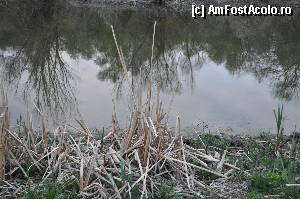 [P01]  -- <small>// FĂRĂ DESCRIERE</small> » foto by doricuta
 - 
<span class="allrVoted glyphicon glyphicon-heart hidden" id="av388575"></span>
<a class="m-l-10 hidden" id="sv388575" onclick="voting_Foto_DelVot(,388575,13289)" role="button">șterge vot <span class="glyphicon glyphicon-remove"></span></a>
<a id="v9388575" class=" c-red"  onclick="voting_Foto_SetVot(388575)" role="button"><span class="glyphicon glyphicon-heart-empty"></span> <b>LIKE</b> = Votează poza</a> <img class="hidden"  id="f388575W9" src="/imagini/loader.gif" border="0" /><span class="AjErrMes hidden" id="e388575ErM"></span>