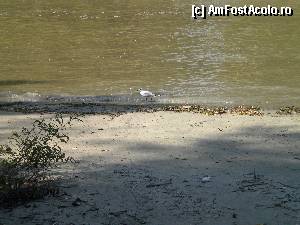 [P11]  -- <small>// FĂRĂ DESCRIERE</small> » foto by doricuta
 - 
<span class="allrVoted glyphicon glyphicon-heart hidden" id="av388585"></span>
<a class="m-l-10 hidden" id="sv388585" onclick="voting_Foto_DelVot(,388585,13289)" role="button">șterge vot <span class="glyphicon glyphicon-remove"></span></a>
<a id="v9388585" class=" c-red"  onclick="voting_Foto_SetVot(388585)" role="button"><span class="glyphicon glyphicon-heart-empty"></span> <b>LIKE</b> = Votează poza</a> <img class="hidden"  id="f388585W9" src="/imagini/loader.gif" border="0" /><span class="AjErrMes hidden" id="e388585ErM"></span>