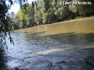 [P13]  -- <small>// FĂRĂ DESCRIERE</small> » foto by doricuta
 - 
<span class="allrVoted glyphicon glyphicon-heart hidden" id="av388587"></span>
<a class="m-l-10 hidden" id="sv388587" onclick="voting_Foto_DelVot(,388587,13289)" role="button">șterge vot <span class="glyphicon glyphicon-remove"></span></a>
<a id="v9388587" class=" c-red"  onclick="voting_Foto_SetVot(388587)" role="button"><span class="glyphicon glyphicon-heart-empty"></span> <b>LIKE</b> = Votează poza</a> <img class="hidden"  id="f388587W9" src="/imagini/loader.gif" border="0" /><span class="AjErrMes hidden" id="e388587ErM"></span>