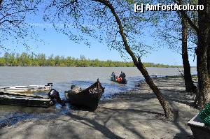 [P02]  -- <small>// FĂRĂ DESCRIERE</small> » foto by doricuta
 - 
<span class="allrVoted glyphicon glyphicon-heart hidden" id="av388576"></span>
<a class="m-l-10 hidden" id="sv388576" onclick="voting_Foto_DelVot(,388576,13289)" role="button">șterge vot <span class="glyphicon glyphicon-remove"></span></a>
<a id="v9388576" class=" c-red"  onclick="voting_Foto_SetVot(388576)" role="button"><span class="glyphicon glyphicon-heart-empty"></span> <b>LIKE</b> = Votează poza</a> <img class="hidden"  id="f388576W9" src="/imagini/loader.gif" border="0" /><span class="AjErrMes hidden" id="e388576ErM"></span>