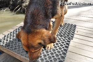 [P03]  -- <small>// FĂRĂ DESCRIERE</small> » foto by doricuta
 - 
<span class="allrVoted glyphicon glyphicon-heart hidden" id="av388577"></span>
<a class="m-l-10 hidden" id="sv388577" onclick="voting_Foto_DelVot(,388577,13289)" role="button">șterge vot <span class="glyphicon glyphicon-remove"></span></a>
<a id="v9388577" class=" c-red"  onclick="voting_Foto_SetVot(388577)" role="button"><span class="glyphicon glyphicon-heart-empty"></span> <b>LIKE</b> = Votează poza</a> <img class="hidden"  id="f388577W9" src="/imagini/loader.gif" border="0" /><span class="AjErrMes hidden" id="e388577ErM"></span>