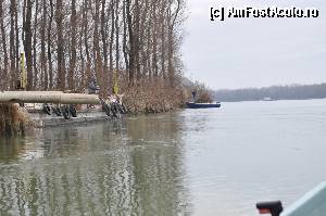 [P07]  -- <small>// FĂRĂ DESCRIERE</small> » foto by doricuta
 - 
<span class="allrVoted glyphicon glyphicon-heart hidden" id="av388581"></span>
<a class="m-l-10 hidden" id="sv388581" onclick="voting_Foto_DelVot(,388581,13289)" role="button">șterge vot <span class="glyphicon glyphicon-remove"></span></a>
<a id="v9388581" class=" c-red"  onclick="voting_Foto_SetVot(388581)" role="button"><span class="glyphicon glyphicon-heart-empty"></span> <b>LIKE</b> = Votează poza</a> <img class="hidden"  id="f388581W9" src="/imagini/loader.gif" border="0" /><span class="AjErrMes hidden" id="e388581ErM"></span>