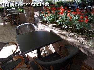 [P05] Fiind doar noi doua, am ales o masa mai mica » foto by Zoazore
 - 
<span class="allrVoted glyphicon glyphicon-heart hidden" id="av1331961"></span>
<a class="m-l-10 hidden" id="sv1331961" onclick="voting_Foto_DelVot(,1331961,13316)" role="button">șterge vot <span class="glyphicon glyphicon-remove"></span></a>
<a id="v91331961" class=" c-red"  onclick="voting_Foto_SetVot(1331961)" role="button"><span class="glyphicon glyphicon-heart-empty"></span> <b>LIKE</b> = Votează poza</a> <img class="hidden"  id="f1331961W9" src="/imagini/loader.gif" border="0" /><span class="AjErrMes hidden" id="e1331961ErM"></span>