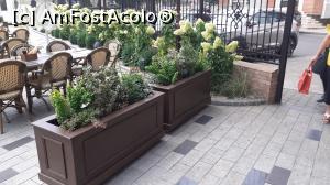 [P07] jardiniere la intrare » foto by Mitica49
 - 
<span class="allrVoted glyphicon glyphicon-heart hidden" id="av1247764"></span>
<a class="m-l-10 hidden" id="sv1247764" onclick="voting_Foto_DelVot(,1247764,13316)" role="button">șterge vot <span class="glyphicon glyphicon-remove"></span></a>
<a id="v91247764" class=" c-red"  onclick="voting_Foto_SetVot(1247764)" role="button"><span class="glyphicon glyphicon-heart-empty"></span> <b>LIKE</b> = Votează poza</a> <img class="hidden"  id="f1247764W9" src="/imagini/loader.gif" border="0" /><span class="AjErrMes hidden" id="e1247764ErM"></span>