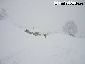 [P25] Ninge in Austria...  » foto by Bujie
 - 
<span class="allrVoted glyphicon glyphicon-heart hidden" id="av392885"></span>
<a class="m-l-10 hidden" id="sv392885" onclick="voting_Foto_DelVot(,392885,13416)" role="button">șterge vot <span class="glyphicon glyphicon-remove"></span></a>
<a id="v9392885" class=" c-red"  onclick="voting_Foto_SetVot(392885)" role="button"><span class="glyphicon glyphicon-heart-empty"></span> <b>LIKE</b> = Votează poza</a> <img class="hidden"  id="f392885W9" src="/imagini/loader.gif" border="0" /><span class="AjErrMes hidden" id="e392885ErM"></span>