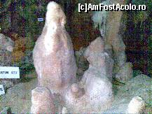 [P16] Peștera Petralona - imagini din interior » foto by nicole33
 - 
<span class="allrVoted glyphicon glyphicon-heart hidden" id="av300152"></span>
<a class="m-l-10 hidden" id="sv300152" onclick="voting_Foto_DelVot(,300152,13427)" role="button">șterge vot <span class="glyphicon glyphicon-remove"></span></a>
<a id="v9300152" class=" c-red"  onclick="voting_Foto_SetVot(300152)" role="button"><span class="glyphicon glyphicon-heart-empty"></span> <b>LIKE</b> = Votează poza</a> <img class="hidden"  id="f300152W9" src="/imagini/loader.gif" border="0" /><span class="AjErrMes hidden" id="e300152ErM"></span>