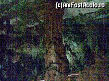 [P37] Peștera Petralona - imagine din interior » foto by nicole33
 - 
<span class="allrVoted glyphicon glyphicon-heart hidden" id="av300173"></span>
<a class="m-l-10 hidden" id="sv300173" onclick="voting_Foto_DelVot(,300173,13427)" role="button">șterge vot <span class="glyphicon glyphicon-remove"></span></a>
<a id="v9300173" class=" c-red"  onclick="voting_Foto_SetVot(300173)" role="button"><span class="glyphicon glyphicon-heart-empty"></span> <b>LIKE</b> = Votează poza</a> <img class="hidden"  id="f300173W9" src="/imagini/loader.gif" border="0" /><span class="AjErrMes hidden" id="e300173ErM"></span>