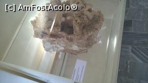 [P12] Cranu de hiena patata fosilizata, cu depuneri de sedimente » foto by livcro
 - 
<span class="allrVoted glyphicon glyphicon-heart hidden" id="av787503"></span>
<a class="m-l-10 hidden" id="sv787503" onclick="voting_Foto_DelVot(,787503,13427)" role="button">șterge vot <span class="glyphicon glyphicon-remove"></span></a>
<a id="v9787503" class=" c-red"  onclick="voting_Foto_SetVot(787503)" role="button"><span class="glyphicon glyphicon-heart-empty"></span> <b>LIKE</b> = Votează poza</a> <img class="hidden"  id="f787503W9" src="/imagini/loader.gif" border="0" /><span class="AjErrMes hidden" id="e787503ErM"></span>