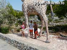 [P09] La umbra unei girafe » foto by dannek
 - 
<span class="allrVoted glyphicon glyphicon-heart hidden" id="av54662"></span>
<a class="m-l-10 hidden" id="sv54662" onclick="voting_Foto_DelVot(,54662,13427)" role="button">șterge vot <span class="glyphicon glyphicon-remove"></span></a>
<a id="v954662" class=" c-red"  onclick="voting_Foto_SetVot(54662)" role="button"><span class="glyphicon glyphicon-heart-empty"></span> <b>LIKE</b> = Votează poza</a> <img class="hidden"  id="f54662W9" src="/imagini/loader.gif" border="0" /><span class="AjErrMes hidden" id="e54662ErM"></span>