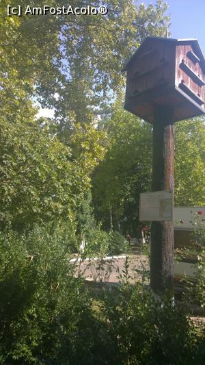 [P10] Liniște în parc » foto by Cdia
 - 
<span class="allrVoted glyphicon glyphicon-heart hidden" id="av791102"></span>
<a class="m-l-10 hidden" id="sv791102" onclick="voting_Foto_DelVot(,791102,13475)" role="button">șterge vot <span class="glyphicon glyphicon-remove"></span></a>
<a id="v9791102" class=" c-red"  onclick="voting_Foto_SetVot(791102)" role="button"><span class="glyphicon glyphicon-heart-empty"></span> <b>LIKE</b> = Votează poza</a> <img class="hidden"  id="f791102W9" src="/imagini/loader.gif" border="0" /><span class="AjErrMes hidden" id="e791102ErM"></span>