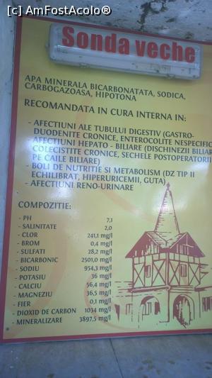 [P08] Compoziția zăcământului descoperit în 1884 » foto by Cdia
 - 
<span class="allrVoted glyphicon glyphicon-heart hidden" id="av791100"></span>
<a class="m-l-10 hidden" id="sv791100" onclick="voting_Foto_DelVot(,791100,13475)" role="button">șterge vot <span class="glyphicon glyphicon-remove"></span></a>
<a id="v9791100" class=" c-red"  onclick="voting_Foto_SetVot(791100)" role="button"><span class="glyphicon glyphicon-heart-empty"></span> <b>LIKE</b> = Votează poza</a> <img class="hidden"  id="f791100W9" src="/imagini/loader.gif" border="0" /><span class="AjErrMes hidden" id="e791100ErM"></span>
