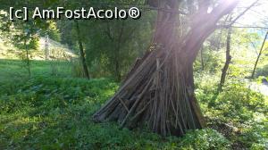 [P06] Parii pentru gradina de la anul » foto by Cdia
 - 
<span class="allrVoted glyphicon glyphicon-heart hidden" id="av808316"></span>
<a class="m-l-10 hidden" id="sv808316" onclick="voting_Foto_DelVot(,808316,13475)" role="button">șterge vot <span class="glyphicon glyphicon-remove"></span></a>
<a id="v9808316" class=" c-red"  onclick="voting_Foto_SetVot(808316)" role="button"><span class="glyphicon glyphicon-heart-empty"></span> <b>LIKE</b> = Votează poza</a> <img class="hidden"  id="f808316W9" src="/imagini/loader.gif" border="0" /><span class="AjErrMes hidden" id="e808316ErM"></span>