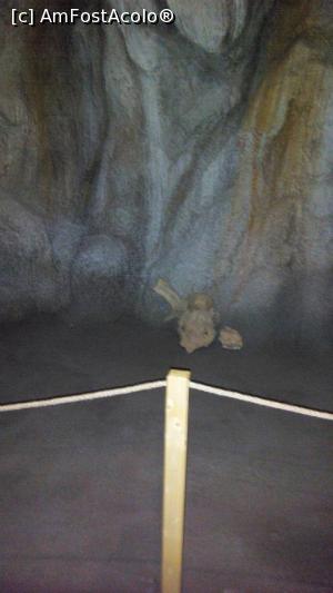 [P02] Craniu de cal » foto by Marcumandru
 - 
<span class="allrVoted glyphicon glyphicon-heart hidden" id="av957583"></span>
<a class="m-l-10 hidden" id="sv957583" onclick="voting_Foto_DelVot(,957583,13499)" role="button">șterge vot <span class="glyphicon glyphicon-remove"></span></a>
<a id="v9957583" class=" c-red"  onclick="voting_Foto_SetVot(957583)" role="button"><span class="glyphicon glyphicon-heart-empty"></span> <b>LIKE</b> = Votează poza</a> <img class="hidden"  id="f957583W9" src="/imagini/loader.gif" border="0" /><span class="AjErrMes hidden" id="e957583ErM"></span>