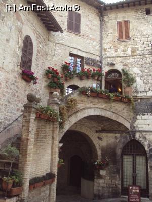 P13 [MAY-2018] Assisi: un hotel ”înecat” în ghivece. 