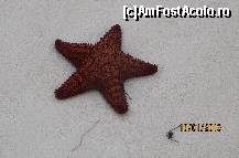 [P13]  -- <small>// FĂRĂ DESCRIERE</small> » foto by antwerp
 - 
<span class="allrVoted glyphicon glyphicon-heart hidden" id="av396736"></span>
<a class="m-l-10 hidden" id="sv396736" onclick="voting_Foto_DelVot(,396736,13523)" role="button">șterge vot <span class="glyphicon glyphicon-remove"></span></a>
<a id="v9396736" class=" c-red"  onclick="voting_Foto_SetVot(396736)" role="button"><span class="glyphicon glyphicon-heart-empty"></span> <b>LIKE</b> = Votează poza</a> <img class="hidden"  id="f396736W9" src="/imagini/loader.gif" border="0" /><span class="AjErrMes hidden" id="e396736ErM"></span>