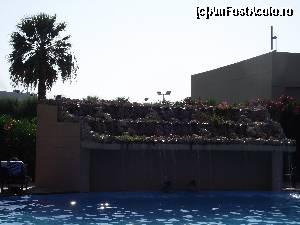 [P05] putina umbra la piscina mare » foto by C&C
 - 
<span class="allrVoted glyphicon glyphicon-heart hidden" id="av559584"></span>
<a class="m-l-10 hidden" id="sv559584" onclick="voting_Foto_DelVot(,559584,13557)" role="button">șterge vot <span class="glyphicon glyphicon-remove"></span></a>
<a id="v9559584" class=" c-red"  onclick="voting_Foto_SetVot(559584)" role="button"><span class="glyphicon glyphicon-heart-empty"></span> <b>LIKE</b> = Votează poza</a> <img class="hidden"  id="f559584W9" src="/imagini/loader.gif" border="0" /><span class="AjErrMes hidden" id="e559584ErM"></span>