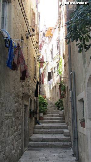[P66] Căscăm gura prin vechea Korcula » foto by crismis
 - 
<span class="allrVoted glyphicon glyphicon-heart hidden" id="av677300"></span>
<a class="m-l-10 hidden" id="sv677300" onclick="voting_Foto_DelVot(,677300,13614)" role="button">șterge vot <span class="glyphicon glyphicon-remove"></span></a>
<a id="v9677300" class=" c-red"  onclick="voting_Foto_SetVot(677300)" role="button"><span class="glyphicon glyphicon-heart-empty"></span> <b>LIKE</b> = Votează poza</a> <img class="hidden"  id="f677300W9" src="/imagini/loader.gif" border="0" /><span class="AjErrMes hidden" id="e677300ErM"></span>