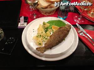 [P36] Restaurant Casa Ferdinand :) -pastrav delicios!  » foto by ioana22
 - 
<span class="allrVoted glyphicon glyphicon-heart hidden" id="av402759"></span>
<a class="m-l-10 hidden" id="sv402759" onclick="voting_Foto_DelVot(,402759,13688)" role="button">șterge vot <span class="glyphicon glyphicon-remove"></span></a>
<a id="v9402759" class=" c-red"  onclick="voting_Foto_SetVot(402759)" role="button"><span class="glyphicon glyphicon-heart-empty"></span> <b>LIKE</b> = Votează poza</a> <img class="hidden"  id="f402759W9" src="/imagini/loader.gif" border="0" /><span class="AjErrMes hidden" id="e402759ErM"></span>