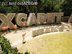 [P25] Xcaret Park » foto by HelloAlex
 - 
<span class="allrVoted glyphicon glyphicon-heart hidden" id="av1343922"></span>
<a class="m-l-10 hidden" id="sv1343922" onclick="voting_Foto_DelVot(,1343922,13710)" role="button">șterge vot <span class="glyphicon glyphicon-remove"></span></a>
<a id="v91343922" class=" c-red"  onclick="voting_Foto_SetVot(1343922)" role="button"><span class="glyphicon glyphicon-heart-empty"></span> <b>LIKE</b> = Votează poza</a> <img class="hidden"  id="f1343922W9" src="/imagini/loader.gif" border="0" /><span class="AjErrMes hidden" id="e1343922ErM"></span>