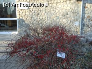 [P02] Iași - Grădina Botanică "Anastasie Fătu". Intrarea principală. » foto by iulianic
 - 
<span class="allrVoted glyphicon glyphicon-heart hidden" id="av1349082"></span>
<a class="m-l-10 hidden" id="sv1349082" onclick="voting_Foto_DelVot(,1349082,13735)" role="button">șterge vot <span class="glyphicon glyphicon-remove"></span></a>
<a id="v91349082" class=" c-red"  onclick="voting_Foto_SetVot(1349082)" role="button"><span class="glyphicon glyphicon-heart-empty"></span> <b>LIKE</b> = Votează poza</a> <img class="hidden"  id="f1349082W9" src="/imagini/loader.gif" border="0" /><span class="AjErrMes hidden" id="e1349082ErM"></span>