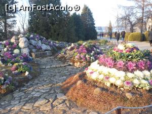 [P07] Iași - Grădina Botanică "Anastasie Fătu". Aranjamente peisagistice cu varză ornamentală. » foto by iulianic
 - 
<span class="allrVoted glyphicon glyphicon-heart hidden" id="av1349087"></span>
<a class="m-l-10 hidden" id="sv1349087" onclick="voting_Foto_DelVot(,1349087,13735)" role="button">șterge vot <span class="glyphicon glyphicon-remove"></span></a>
<a id="v91349087" class=" c-red"  onclick="voting_Foto_SetVot(1349087)" role="button"><span class="glyphicon glyphicon-heart-empty"></span> <b>LIKE</b> = Votează poza</a> <img class="hidden"  id="f1349087W9" src="/imagini/loader.gif" border="0" /><span class="AjErrMes hidden" id="e1349087ErM"></span>