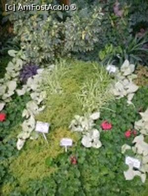 [P19] Prin sera cu plante exotice » foto by Zoazore
 - 
<span class="allrVoted glyphicon glyphicon-heart hidden" id="av1532465"></span>
<a class="m-l-10 hidden" id="sv1532465" onclick="voting_Foto_DelVot(,1532465,13735)" role="button">șterge vot <span class="glyphicon glyphicon-remove"></span></a>
<a id="v91532465" class=" c-red"  onclick="voting_Foto_SetVot(1532465)" role="button"><span class="glyphicon glyphicon-heart-empty"></span> <b>LIKE</b> = Votează poza</a> <img class="hidden"  id="f1532465W9" src="/imagini/loader.gif" border="0" /><span class="AjErrMes hidden" id="e1532465ErM"></span>