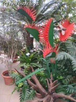 [P23] Prin sera cu plante exotice-Capcana lui Venus-planta carnivoră » foto by Zoazore
 - 
<span class="allrVoted glyphicon glyphicon-heart hidden" id="av1532469"></span>
<a class="m-l-10 hidden" id="sv1532469" onclick="voting_Foto_DelVot(,1532469,13735)" role="button">șterge vot <span class="glyphicon glyphicon-remove"></span></a>
<a id="v91532469" class=" c-red"  onclick="voting_Foto_SetVot(1532469)" role="button"><span class="glyphicon glyphicon-heart-empty"></span> <b>LIKE</b> = Votează poza</a> <img class="hidden"  id="f1532469W9" src="/imagini/loader.gif" border="0" /><span class="AjErrMes hidden" id="e1532469ErM"></span>