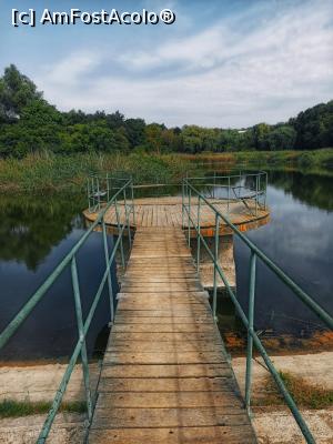 [P55] Lacul Grădinii Botanice » foto by adso <span class="label label-default labelC_thin small">NEVOTABILĂ</span>