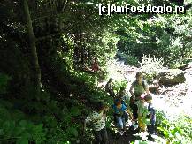 [P01] In apropiere de Cascada Bucinis » foto by geo73
 - 
<span class="allrVoted glyphicon glyphicon-heart hidden" id="av405964"></span>
<a class="m-l-10 hidden" id="sv405964" onclick="voting_Foto_DelVot(,405964,13736)" role="button">șterge vot <span class="glyphicon glyphicon-remove"></span></a>
<a id="v9405964" class=" c-red"  onclick="voting_Foto_SetVot(405964)" role="button"><span class="glyphicon glyphicon-heart-empty"></span> <b>LIKE</b> = Votează poza</a> <img class="hidden"  id="f405964W9" src="/imagini/loader.gif" border="0" /><span class="AjErrMes hidden" id="e405964ErM"></span>