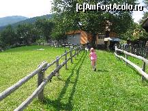 [P39] Pa frumoase carari » foto by geo73
 - 
<span class="allrVoted glyphicon glyphicon-heart hidden" id="av406029"></span>
<a class="m-l-10 hidden" id="sv406029" onclick="voting_Foto_DelVot(,406029,13736)" role="button">șterge vot <span class="glyphicon glyphicon-remove"></span></a>
<a id="v9406029" class=" c-red"  onclick="voting_Foto_SetVot(406029)" role="button"><span class="glyphicon glyphicon-heart-empty"></span> <b>LIKE</b> = Votează poza</a> <img class="hidden"  id="f406029W9" src="/imagini/loader.gif" border="0" /><span class="AjErrMes hidden" id="e406029ErM"></span>