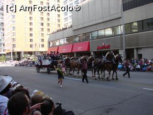 [P11] Stampede Parade - defilarea reprezentantilor diferitelor institutii / companii » foto by ebirsan
 - 
<span class="allrVoted glyphicon glyphicon-heart hidden" id="av742688"></span>
<a class="m-l-10 hidden" id="sv742688" onclick="voting_Foto_DelVot(,742688,13751)" role="button">șterge vot <span class="glyphicon glyphicon-remove"></span></a>
<a id="v9742688" class=" c-red"  onclick="voting_Foto_SetVot(742688)" role="button"><span class="glyphicon glyphicon-heart-empty"></span> <b>LIKE</b> = Votează poza</a> <img class="hidden"  id="f742688W9" src="/imagini/loader.gif" border="0" /><span class="AjErrMes hidden" id="e742688ErM"></span>