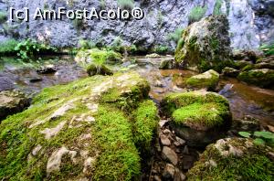 [P01] Izbucul Tăuzului » foto by Remicade
 - 
<span class="allrVoted glyphicon glyphicon-heart hidden" id="av769670"></span>
<a class="m-l-10 hidden" id="sv769670" onclick="voting_Foto_DelVot(,769670,13782)" role="button">șterge vot <span class="glyphicon glyphicon-remove"></span></a>
<a id="v9769670" class=" c-red"  onclick="voting_Foto_SetVot(769670)" role="button"><span class="glyphicon glyphicon-heart-empty"></span> <b>LIKE</b> = Votează poza</a> <img class="hidden"  id="f769670W9" src="/imagini/loader.gif" border="0" /><span class="AjErrMes hidden" id="e769670ErM"></span>