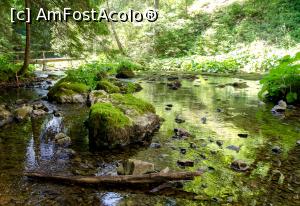 [P11] Langa Izbucul Tăuzului » foto by Remicade
 - 
<span class="allrVoted glyphicon glyphicon-heart hidden" id="av769680"></span>
<a class="m-l-10 hidden" id="sv769680" onclick="voting_Foto_DelVot(,769680,13782)" role="button">șterge vot <span class="glyphicon glyphicon-remove"></span></a>
<a id="v9769680" class=" c-red"  onclick="voting_Foto_SetVot(769680)" role="button"><span class="glyphicon glyphicon-heart-empty"></span> <b>LIKE</b> = Votează poza</a> <img class="hidden"  id="f769680W9" src="/imagini/loader.gif" border="0" /><span class="AjErrMes hidden" id="e769680ErM"></span>