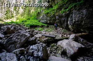 [P27] Pestera Coiba Mare » foto by Remicade
 - 
<span class="allrVoted glyphicon glyphicon-heart hidden" id="av769696"></span>
<a class="m-l-10 hidden" id="sv769696" onclick="voting_Foto_DelVot(,769696,13782)" role="button">șterge vot <span class="glyphicon glyphicon-remove"></span></a>
<a id="v9769696" class=" c-red"  onclick="voting_Foto_SetVot(769696)" role="button"><span class="glyphicon glyphicon-heart-empty"></span> <b>LIKE</b> = Votează poza</a> <img class="hidden"  id="f769696W9" src="/imagini/loader.gif" border="0" /><span class="AjErrMes hidden" id="e769696ErM"></span>